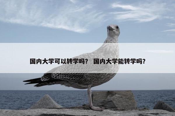 国内大学可以转学吗？ 国内大学能转学吗？