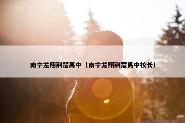 南宁龙翔荆楚高中（南宁龙翔荆楚高中校长）