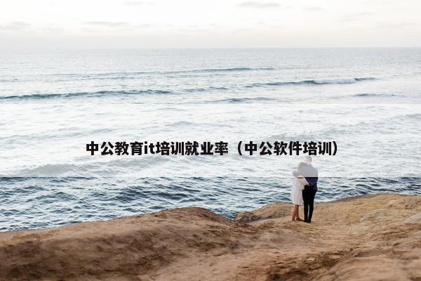中公教育it培训就业率（中公软件培训）