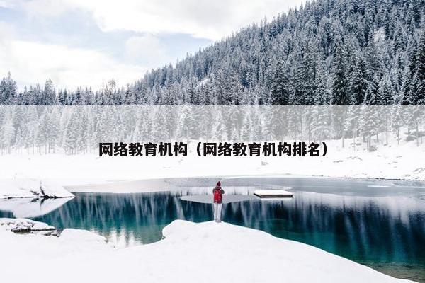 网络教育机构（网络教育机构排名）