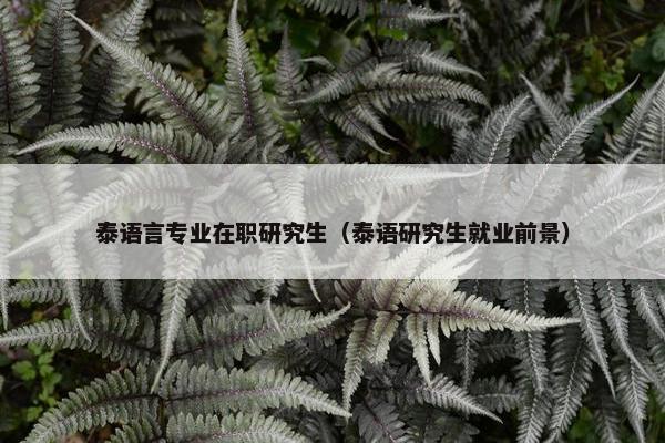 泰语言专业在职研究生（泰语研究生就业前景）
