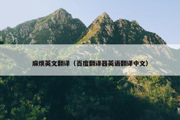 麻烦英文翻译（百度翻译器英语翻译中文）