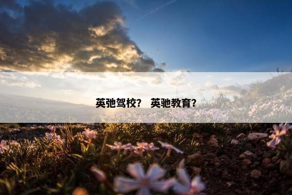 英弛驾校？ 英驰教育？