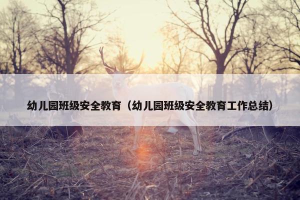 幼儿园班级安全教育（幼儿园班级安全教育工作总结）