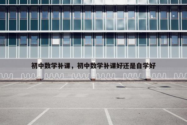 初中数学补课，初中数学补课好还是自学好