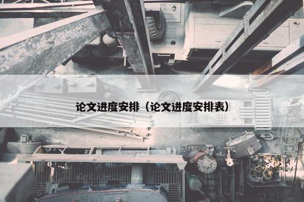 论文进度安排（论文进度安排表）