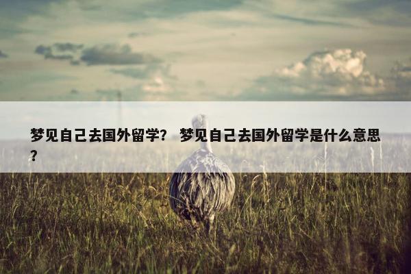 梦见自己去国外留学？ 梦见自己去国外留学是什么意思？