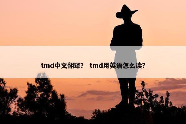tmd中文翻译？ tmd用英语怎么读？