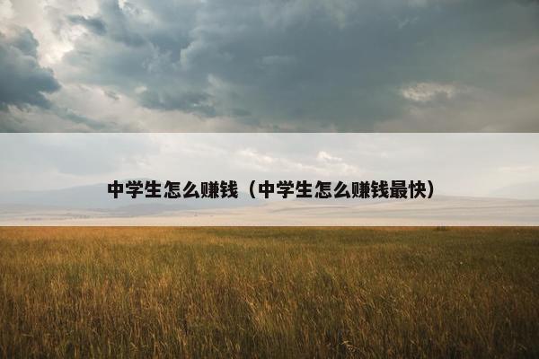 中学生怎么赚钱（中学生怎么赚钱最快）