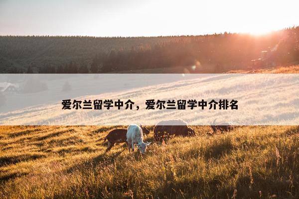 爱尔兰留学中介，爱尔兰留学中介排名
