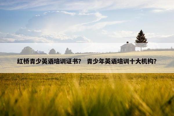 红桥青少英语培训证书？ 青少年英语培训十大机构？