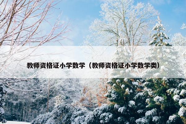 教师资格证小学数学（教师资格证小学数学类）