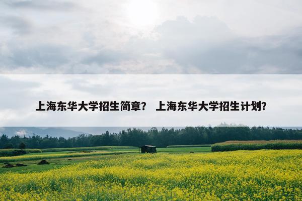 上海东华大学招生简章？ 上海东华大学招生计划？