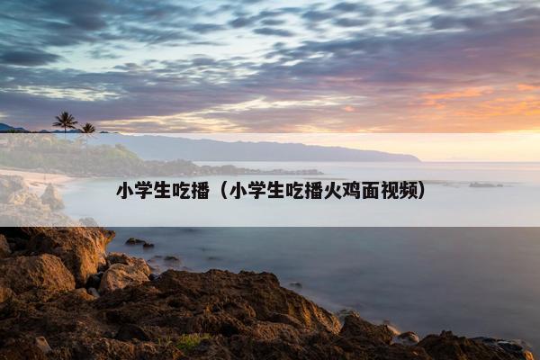 小学生吃播（小学生吃播火鸡面视频）