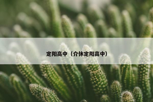 定阳高中（介休定阳高中）