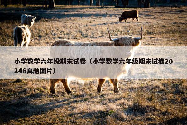 小学数学六年级期末试卷（小学数学六年级期末试卷20246真题图片）