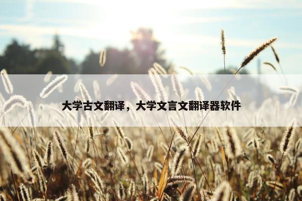 大学古文翻译，大学文言文翻译器软件