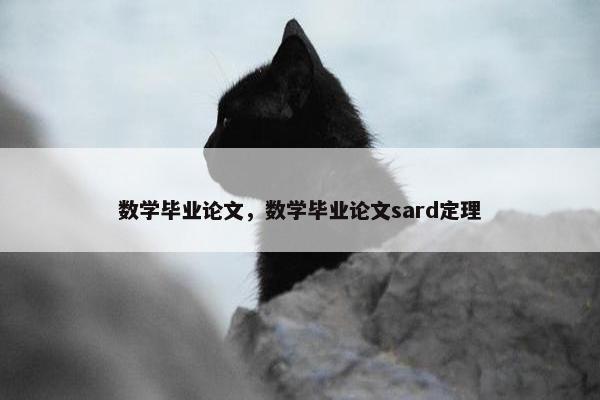 数学毕业论文，数学毕业论文sard定理