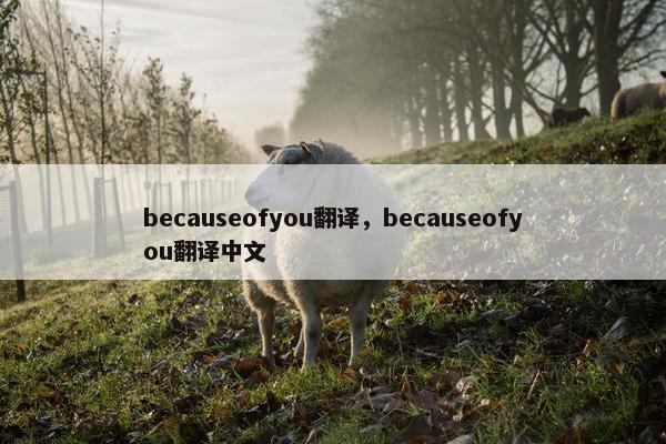 becauseofyou翻译，becauseofyou翻译中文
