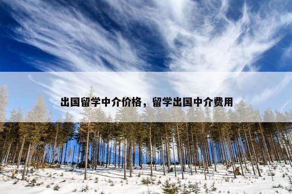 出国留学中介价格，留学出国中介费用