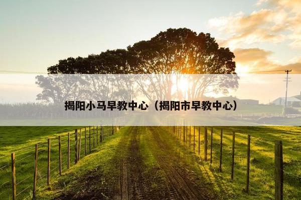 揭阳小马早教中心（揭阳市早教中心）