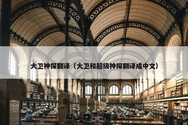 大卫神探翻译（大卫和超级神探翻译成中文）