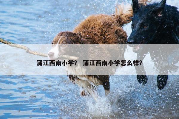 蒲江西南小学？ 蒲江西南小学怎么样？