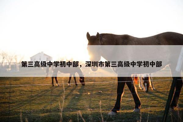 第三高级中学初中部，深圳市第三高级中学初中部