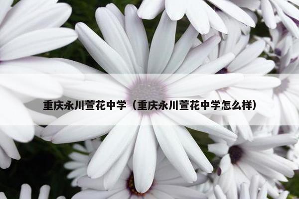 重庆永川萱花中学（重庆永川萱花中学怎么样）