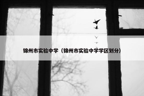 锦州市实验中学（锦州市实验中学学区划分）