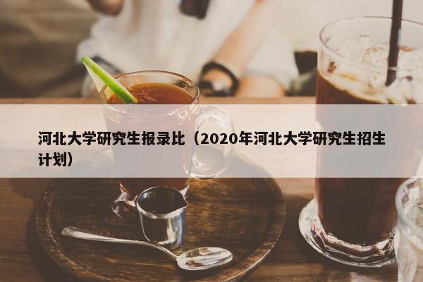 河北大学研究生报录比（2020年河北大学研究生招生计划）
