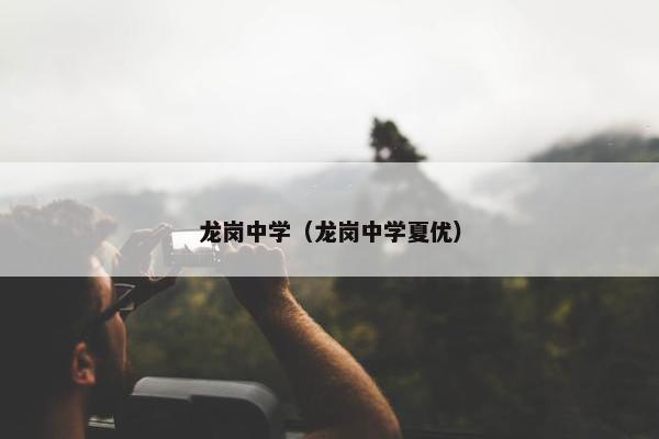 龙岗中学（龙岗中学夏优）