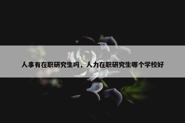 人事有在职研究生吗，人力在职研究生哪个学校好