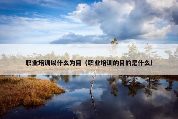 职业培训以什么为目（职业培训的目的是什么）