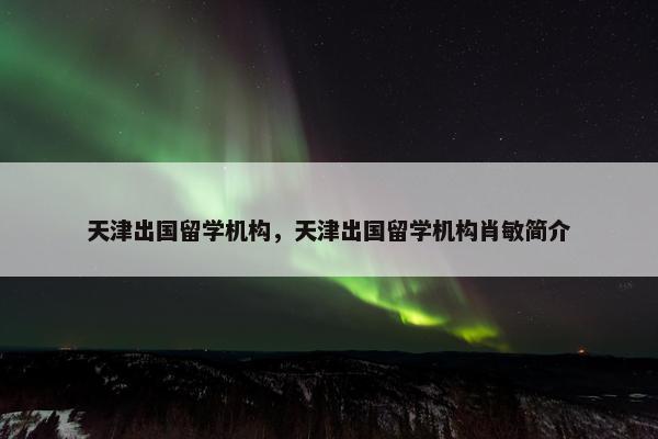 天津出国留学机构，天津出国留学机构肖敏简介