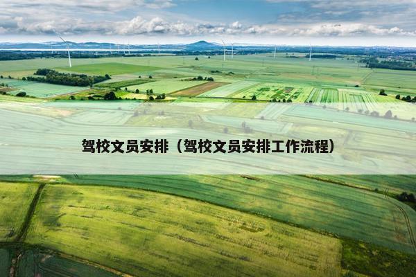 驾校文员安排（驾校文员安排工作流程）