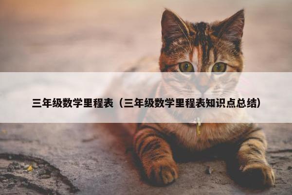 三年级数学里程表（三年级数学里程表知识点总结）