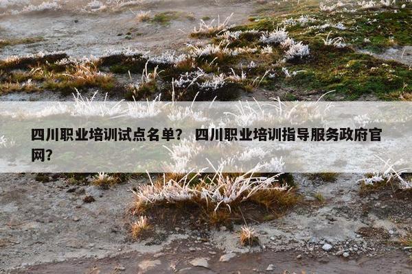 四川职业培训试点名单？ 四川职业培训指导服务政府官网？