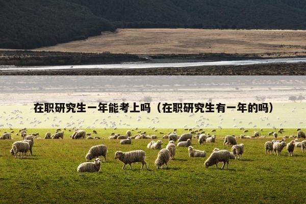 在职研究生一年能考上吗（在职研究生有一年的吗）
