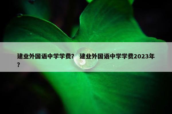 建业外国语中学学费？ 建业外国语中学学费2023年？