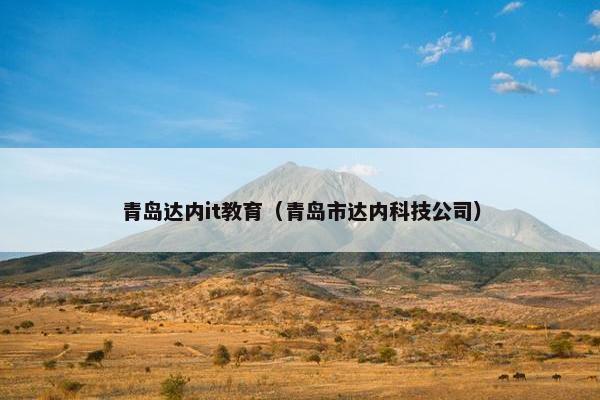 青岛达内it教育（青岛市达内科技公司）