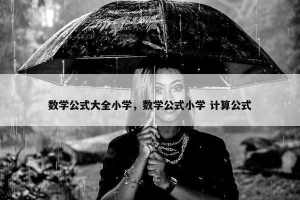 数学公式大全小学，数学公式小学 计算公式