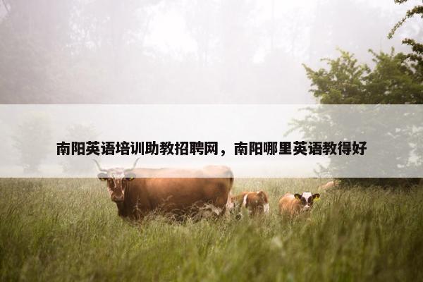 南阳英语培训助教招聘网，南阳哪里英语教得好