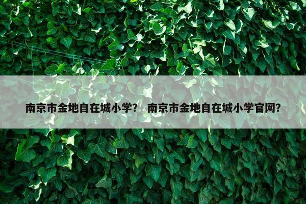 南京市金地自在城小学？ 南京市金地自在城小学官网？