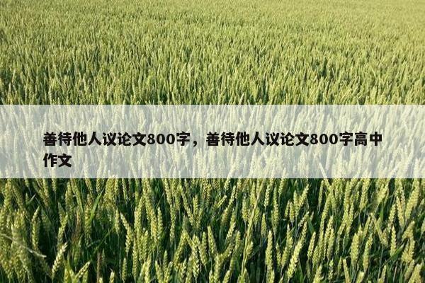 善待他人议论文800字，善待他人议论文800字高中作文