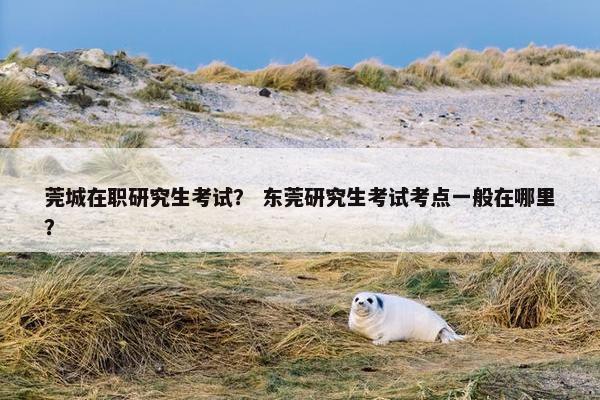 莞城在职研究生考试？ 东莞研究生考试考点一般在哪里？