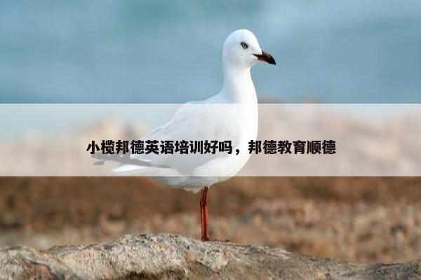 小榄邦德英语培训好吗，邦德教育顺德