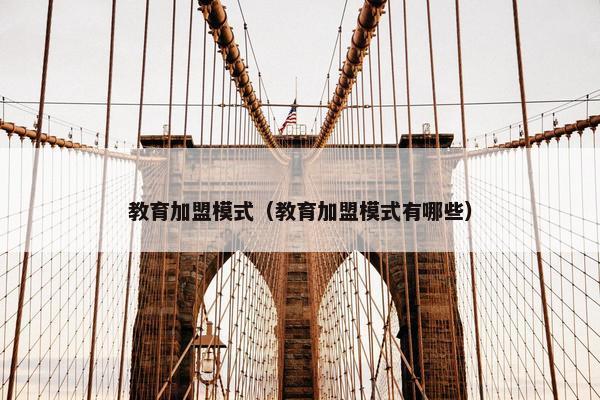教育加盟模式（教育加盟模式有哪些）