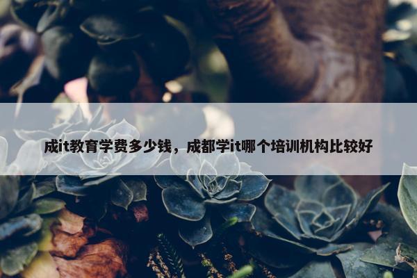 成it教育学费多少钱，成都学it哪个培训机构比较好