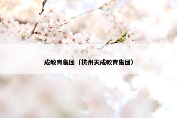 成教育集团（杭州天成教育集团）
